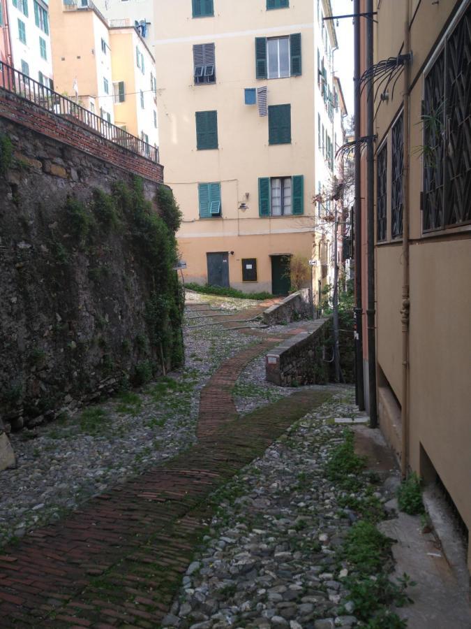 Apartment Marina11